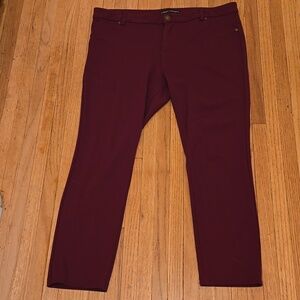 Elegant Petite Women's Pants in Burgundy.